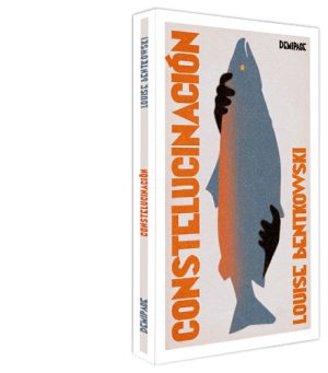 Constelucinación Web